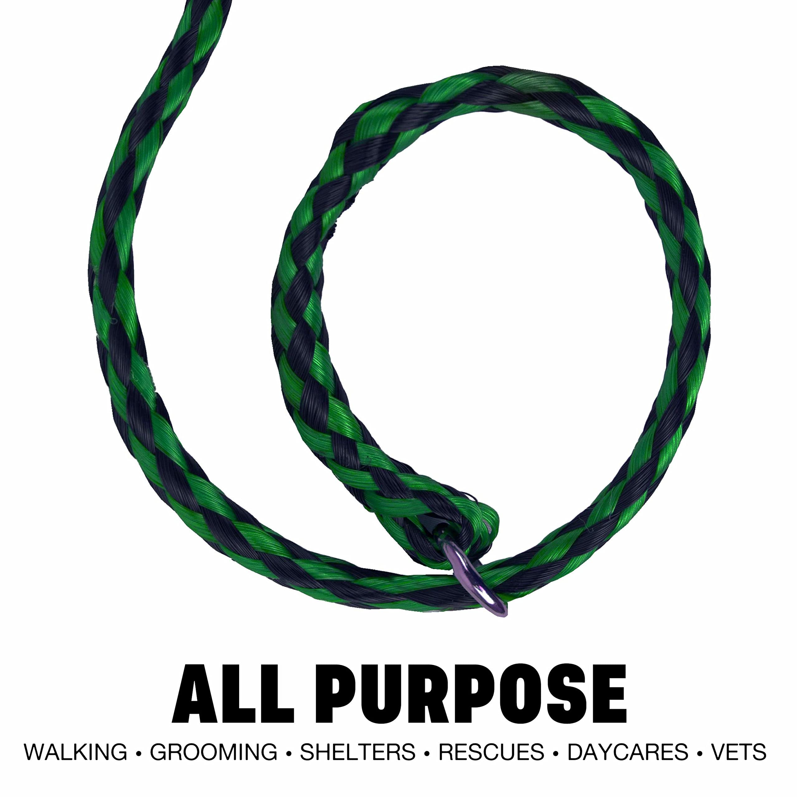 Downtown Pet Supply Braided Poly Slip Lead Dog Leash, 24 Pack, 5' Long - Universal Dog Slip Leash With Metal O Ring - Durable Fo